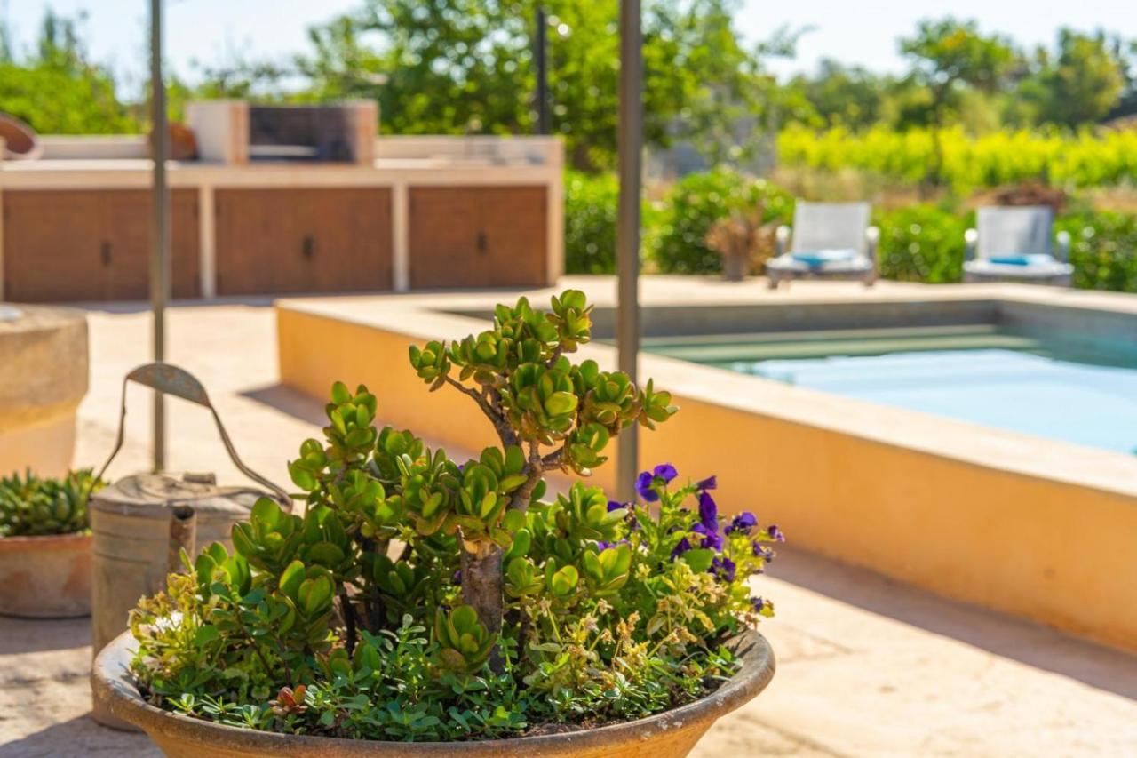 Finca Campestre Es Verger Blue Binisalem Exterior foto